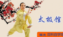 八式太极拳教学视频,轻松入门，体验传统武术魅力